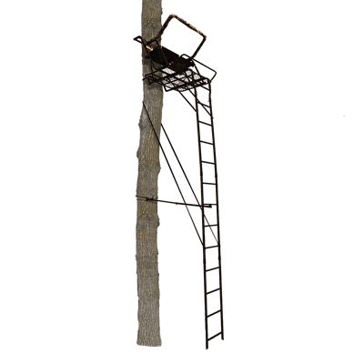 Image showing  Partner 2-Man Ladderstand
