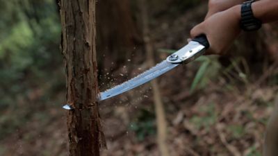 Image showing 5 th Silky Saws Ultra Accel Curved Blade Folding Saw