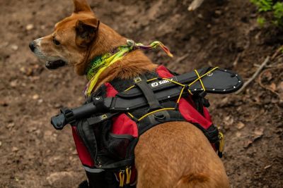 Image showing  Yoki 270mm Chopper 570-27