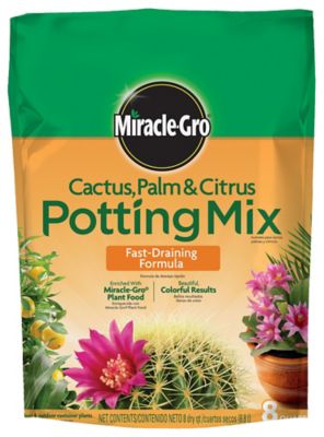 Miracle-Gro Cactus Palm And Cit Potting Mix 8Qt Best Potting Mix I ever used