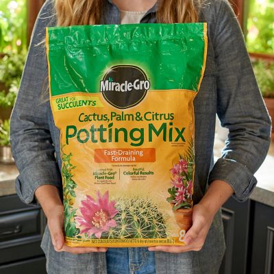 Image showing  8 qt. Cactus, Palm and Citrus Potting Soil Mix