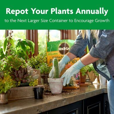 Image showing 7 th Miracle-Gro 8 qt. Cactus, Palm and Citrus Potting Soil Mix