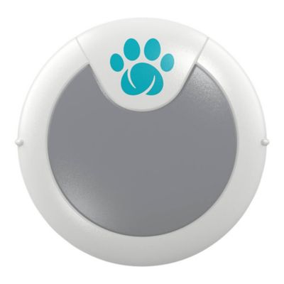 SureFlap Amino Dog Activity Tracker