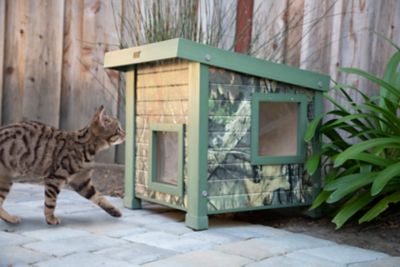 best feral cat house