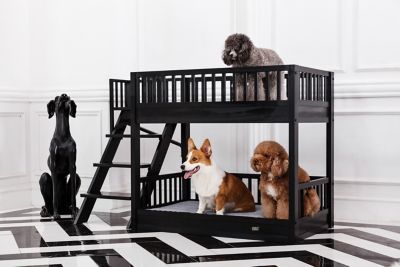 New Age Pet Aspen Pet Bunk Bed, made with ECOFLEX, Non-Toxic