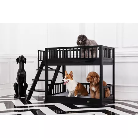 New Age Pet Aspen Pet Bunk Bed Made with ECOFLEX Non-Toxic Pet Furniture Style Beds