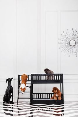 Image showing  Aspen Pet Bunk Bed, made with ECOFLEX, Non-Toxic