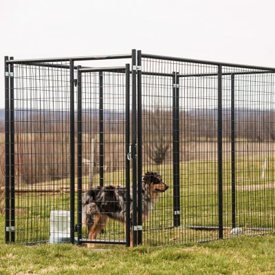 Tarter Blue Champion Complete Dog Kennel, 10 ft. L x 5 ft. W x 6 ft. H