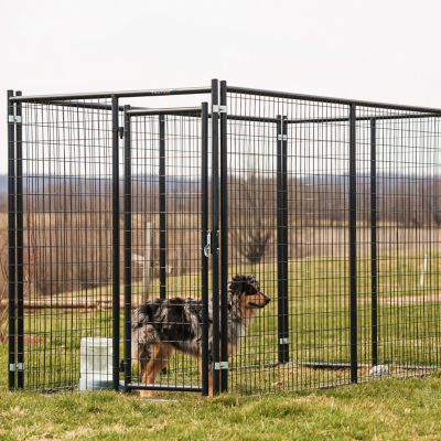 Tarter 10 ft. x 5 ft. x 6 ft. Blue Champion Complete Welded Wire Dog Kennel