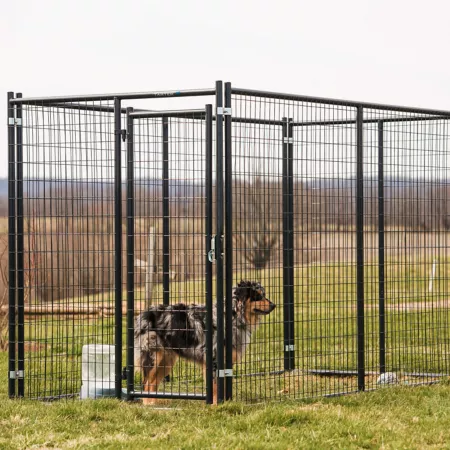 Tarter Champion Welded Wire Complete Dog Kennel Blue 10 ft x 5 ft x 6 ft. Dog Kennels