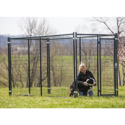 Image showing  10 ft. x 5 ft. x 6 ft. Blue Champion Complete Welded Wire Dog Kennel