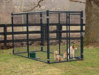 Image showing  10 ft. x 5 ft. x 6 ft. Blue Champion Complete Welded Wire Dog Kennel