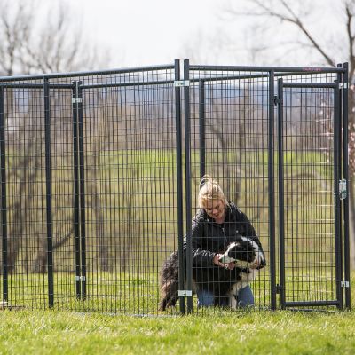Image showing  5 ft. Blue Champion Dog Kennel Front Panel