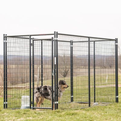 Image showing 6 th Tarter 5 ft. Blue Champion Dog Kennel Front Panel
