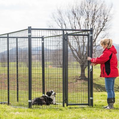 Image showing  5 ft. Blue Champion Dog Kennel Side Panel