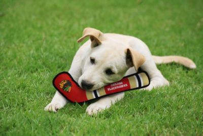 Image showing  Chicago Blackhawks Hockey Stick Dog Toy