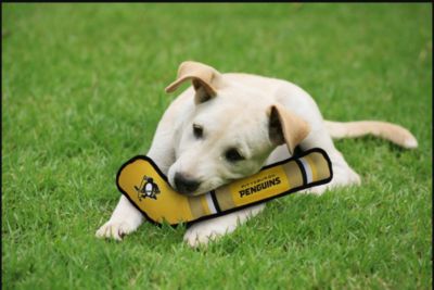 Image showing  Pittsburgh Penguins Hockey Stick Dog Toy