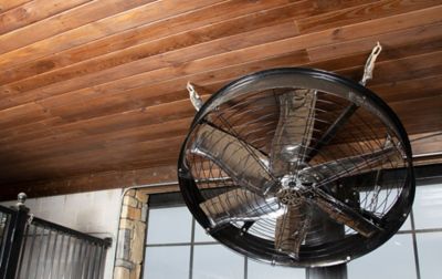 Image showing  48 in. 4X Industrial Ceiling Fan