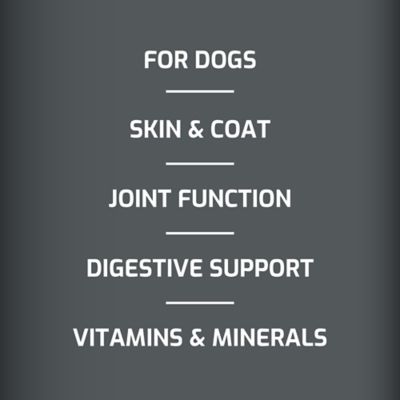 Image showing  4-in-1 Multivitamin Soft Chewable Dog Supplements for Dogs, 60 ct.