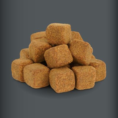 Image showing  4-in-1 Multivitamin Soft Chewable Dog Supplements for Dogs, 60 ct.