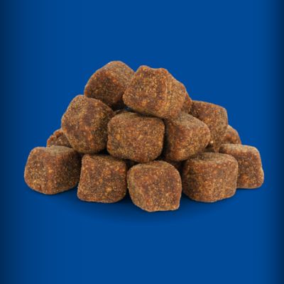 Image showing  Advanced Formula Soft Chewable Hip and Joint Supplement for Dogs and Cats, 0.72 lb., 60 ct.