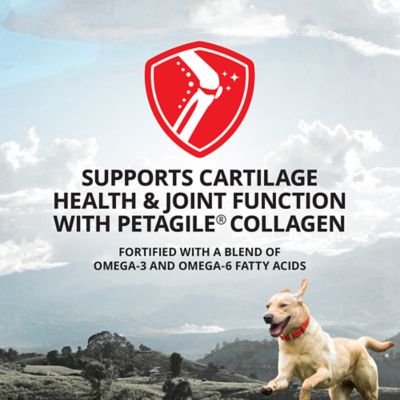 Image showing  Preventative Chewable Hip and Joint Supplement for Dogs and Cats, 0.55 lb., 60 ct.