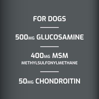 Image showing  Preventative Chewable Hip and Joint Supplement for Dogs and Cats, 0.55 lb., 60 ct.