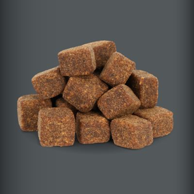 Image showing  Preventative Chewable Hip and Joint Supplement for Dogs and Cats, 0.55 lb., 60 ct.