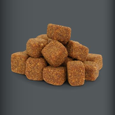 Image showing  Salmon Oil and Pollock Oil Skin and Coat Supplement for Dogs and Cats, 0.52 lb., 60 ct.