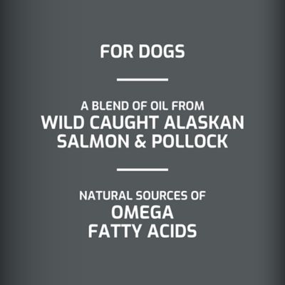 Image showing  Salmon Oil and Pollock Oil Skin and Coat Supplement for Dogs, 15.5 oz.
