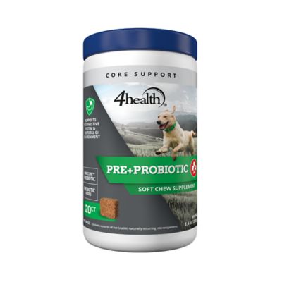 are probiotics pills bad for dogs