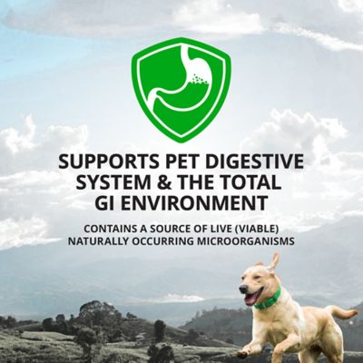 Image showing  Pre and Probiotic Soft Chewable Digestive Supplement for Dogs, 0.72 lb., 120 ct.