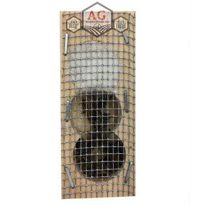 Image showing  Live Carniolan Queen Bee with Attendants