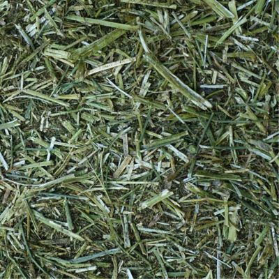 Image showing  Premium Western Forage Alfalfa Small Animal Treat, 24 oz.