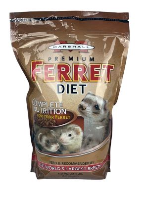 ferret food