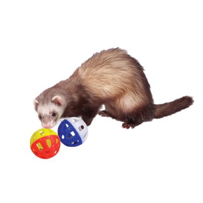 Marshall Plastic Bell Ferret Toys, 2-Pack