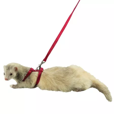 Marshall Adjustable Ferret Harness and 48" Leash Red Small Pet Harnesses