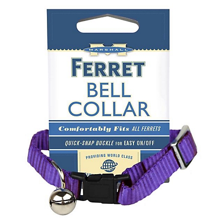 Marshall Ferret Bell Collar, Adjustable