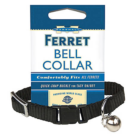 Marshall Adjustable Bell Ferret Collar, Black