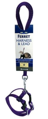 Marshall Adjustable Ferret Harness Lead