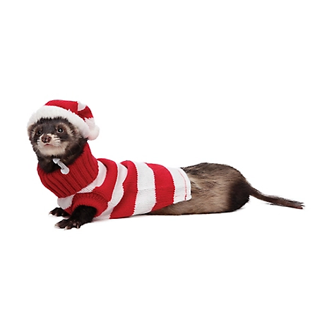 Marshall Ferret and Small Animal Hat and Sweater Set
