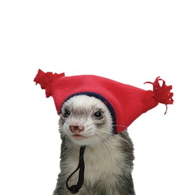 Marshall Ferret and Small Animal Tassel Hat