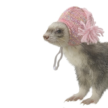 Marshall Ferret and Small Animal Pink Knit Cap