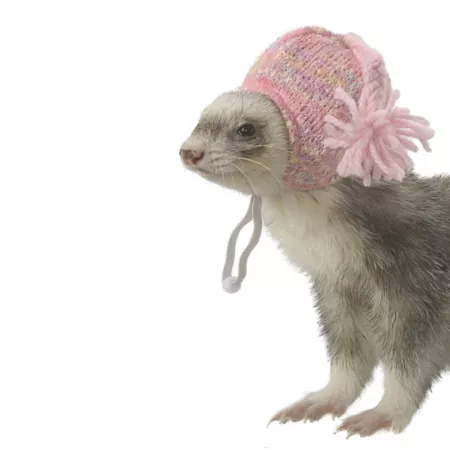 Pink knit hat for ferrets and small animals Marshall Small Pet Grooming Accessories