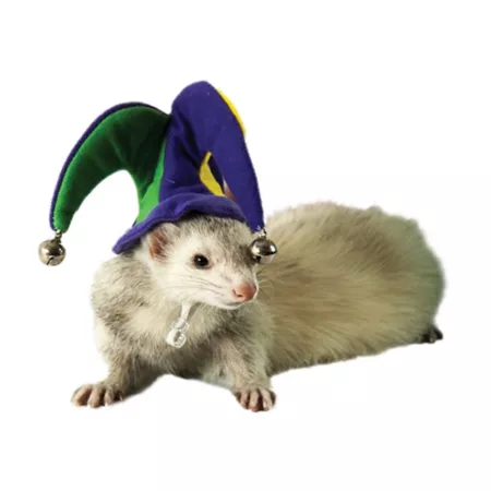 Marshall Ferret and Small Animal Jester Hat Small Pet Grooming Accessories