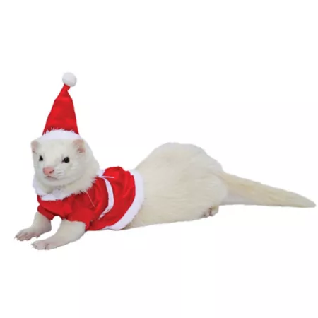 Marshall Deluxe Santa Costume for Ferrets and Small Animals Small Pet Grooming Accessories