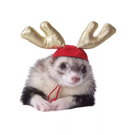 Marshall Holiday Antlers Ferret and Small Animal Costume Small Pet Grooming Accessories