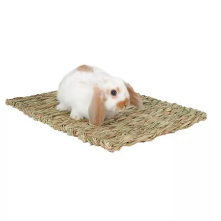 Marshall Woven Small Animal Grass Mat Small Pet Habitat Expansions & Accessories