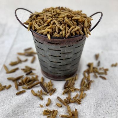 Image showing  Grub Frenzy Chicken Treats