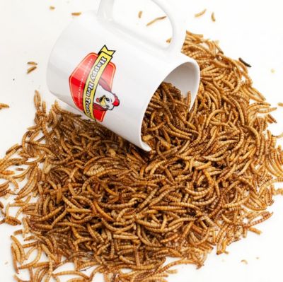 Image showing  Mealworm Frenzy Chicken Treats